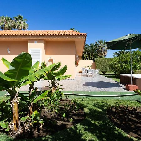 Finca La Gaviota - Los Limoneros Icod De Los Vinos Bagian luar foto