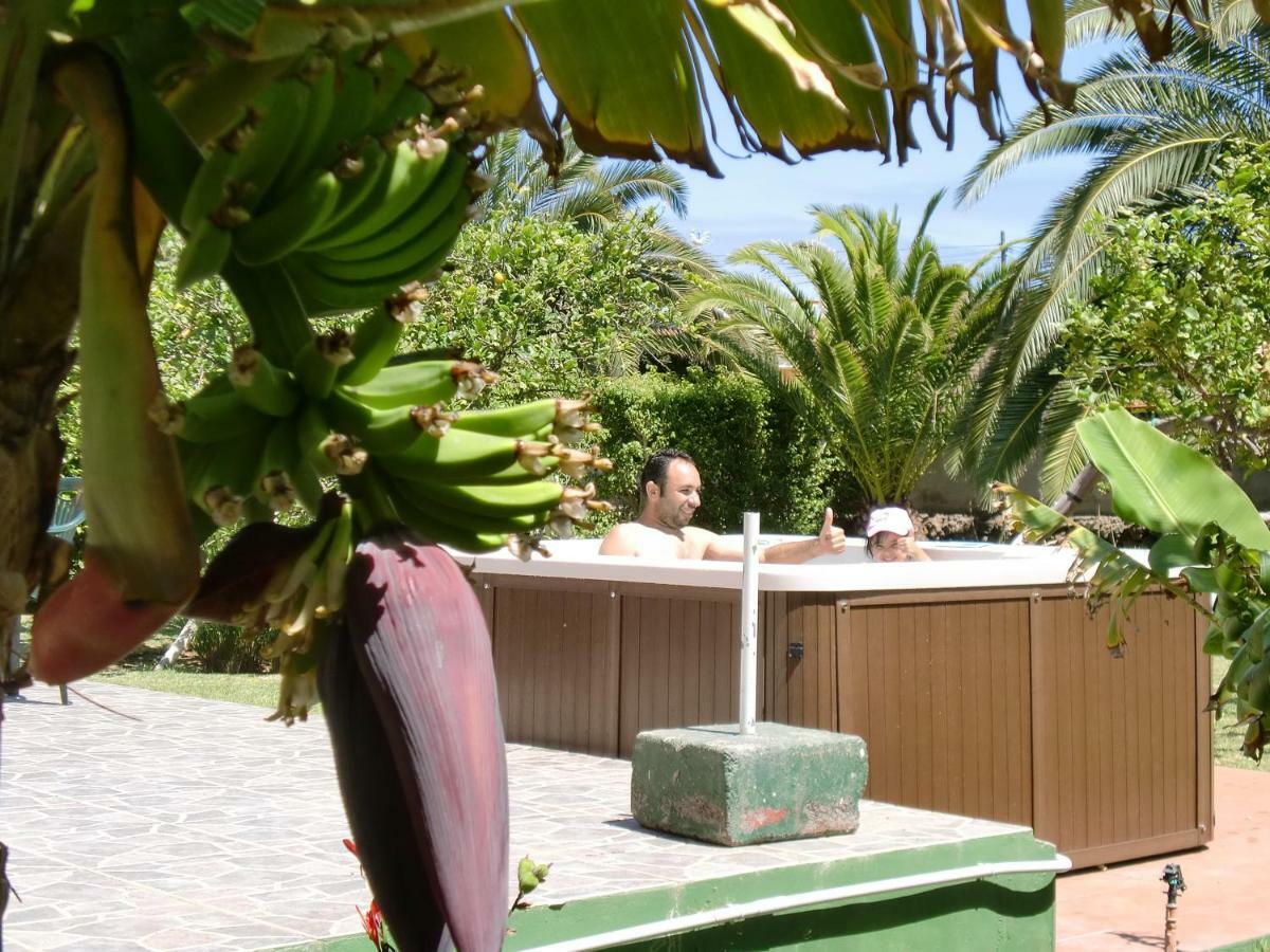 Finca La Gaviota - Los Limoneros Icod De Los Vinos Bagian luar foto